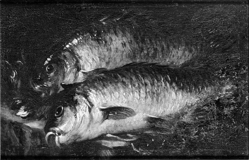 Due carpe su un tavolo da cucina - Statens Museum for Kunst